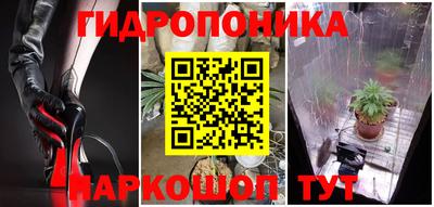 шишки Ирбит